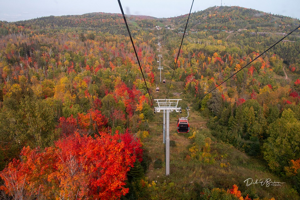 Deb O'Brien Photography - Lift