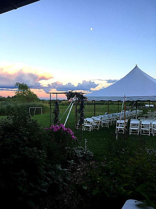 Shaggy Dog Farm - Outside with Tent