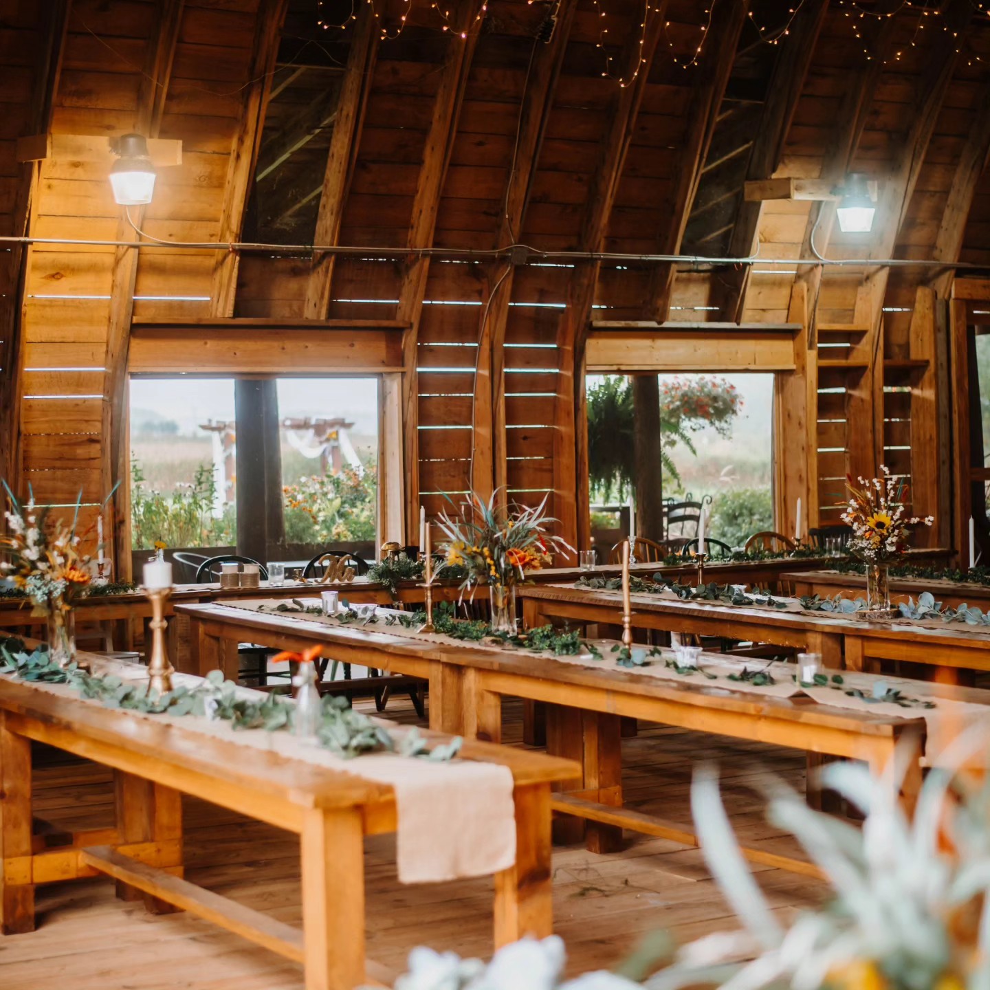 Shaggy Dog Farm Inside Barn