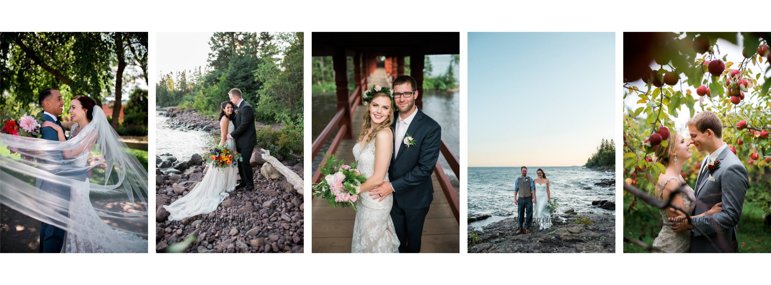 Shawna Vine Photography - multiple photos